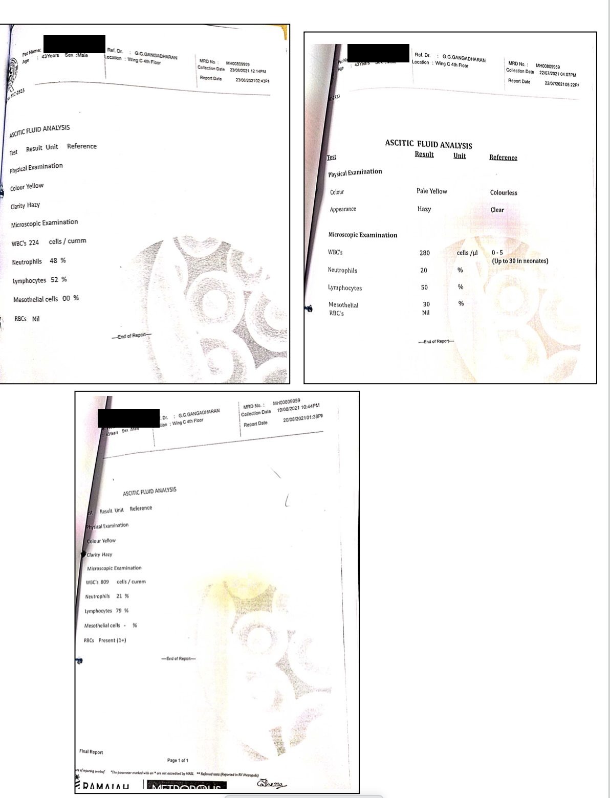 fluid_analysis.png