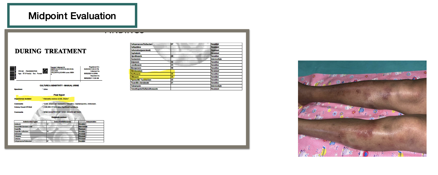 midpoint_evaluation.png